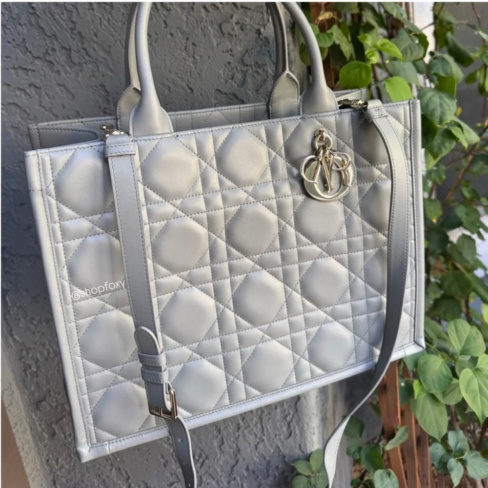 Dior christian calfskin